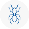 Ant Removals In Garstang