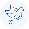 Bird Prevention Garstang