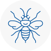 Garstang Hornet Nest Removals