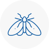 Moth Control Specialists In Garstang