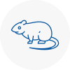 Rat Control Garstang