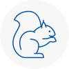 Garstang Rodent Removals